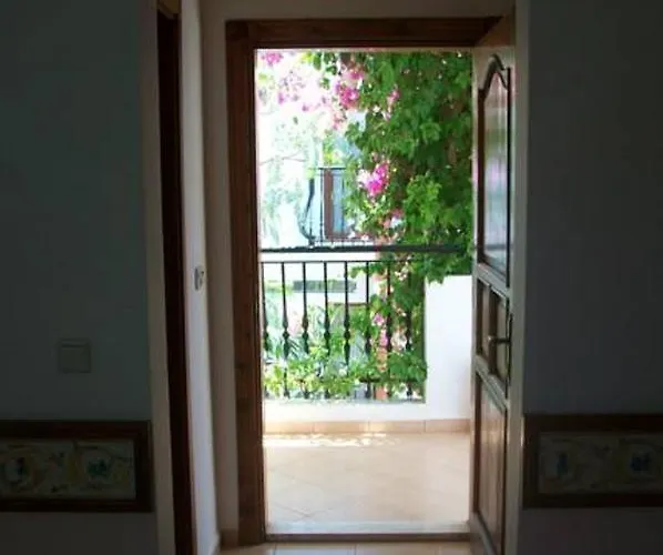 Kriss אורטקנט