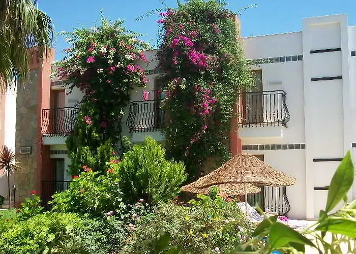 Kriss 3* אורטקנט