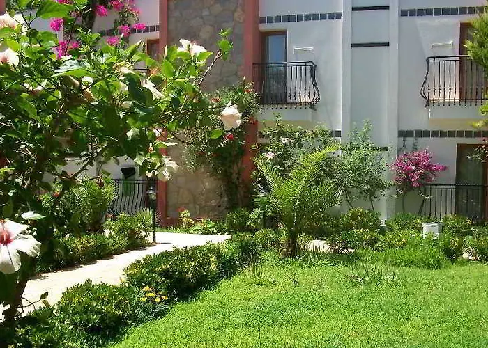 Kriss Ортакент