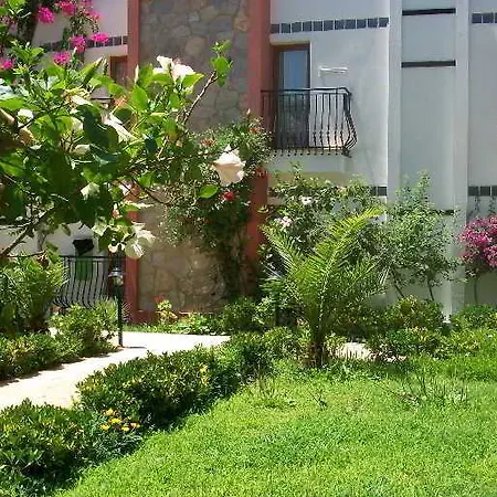 Kriss Ortakentyahşi