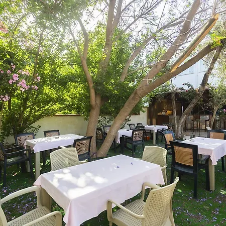 Kriss 3* Ortakentyahşi